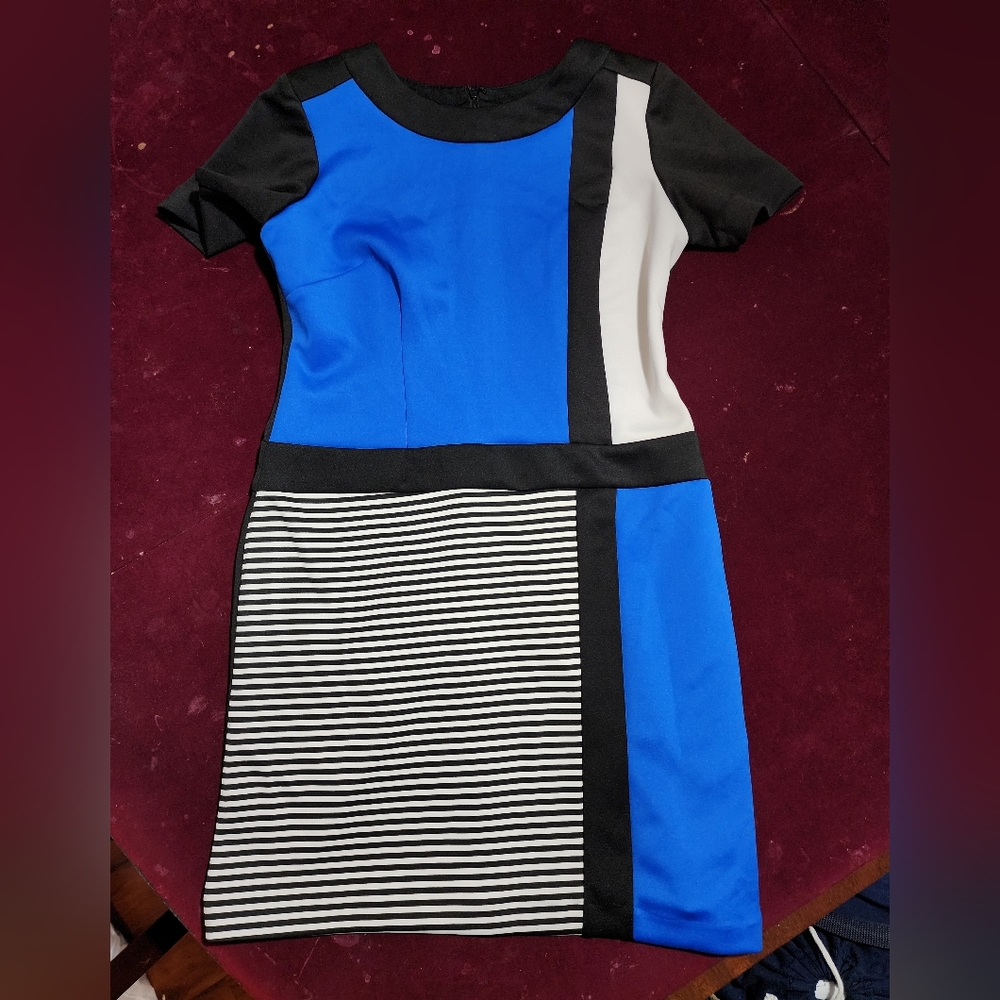 NWOT ... Sandra Darren Black Stripe Shortsleeve Dress 👗 - Picture 3 of 8